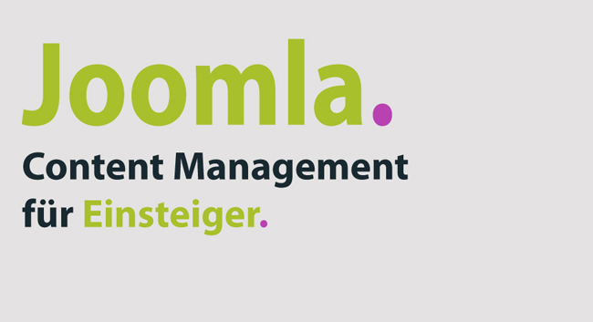 Joomla-Agentur im Saarland Rheinland-Pfalz und Baden-Württemberg. Realisation von Joomla-Projekten